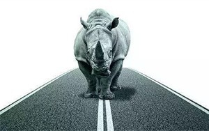 臣通觀點丨小心，中國產(chǎn)業(yè)園區(qū)的“灰犀?！庇謥砹?！