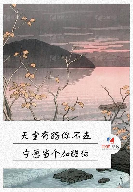 1550108486781457.jpg 微信圖片_20190214093917.jpg