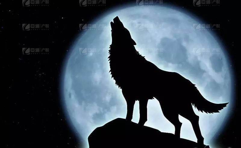 1550287158520426.jpg 微信圖片_20190216111716.jpg