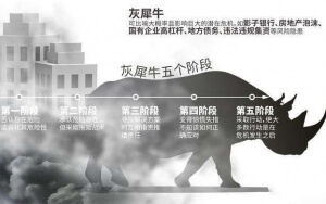 小心，中國產(chǎn)業(yè)園區(qū)的“灰犀牛”又來了！